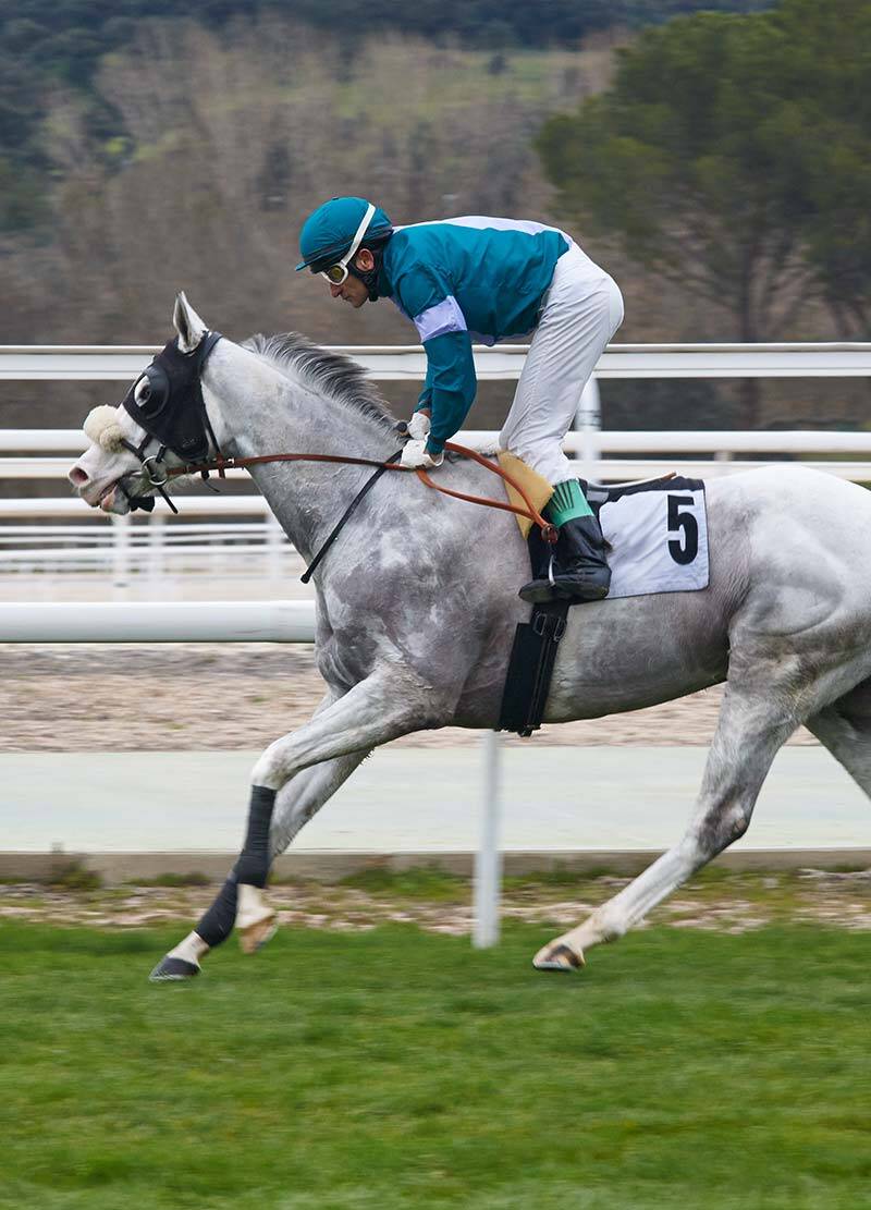 Scone's Best Accommodation - Strathearn Park Lodge