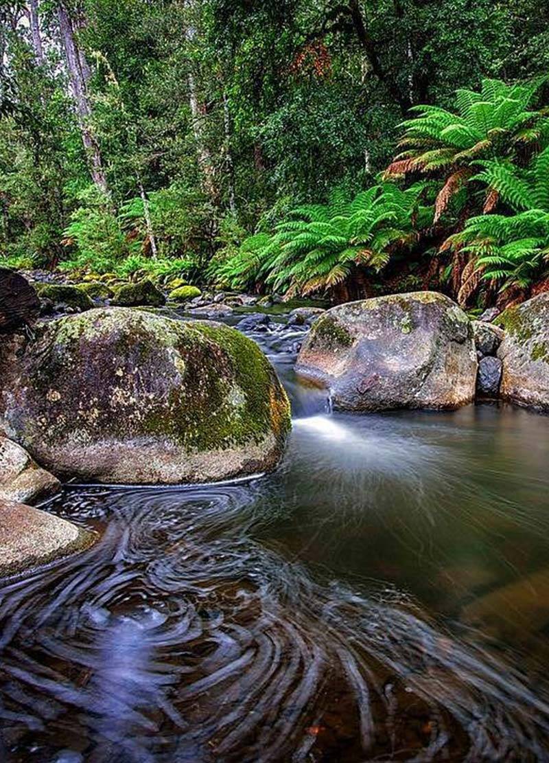 Scone's Best Accommodation - Strathearn Park Lodge