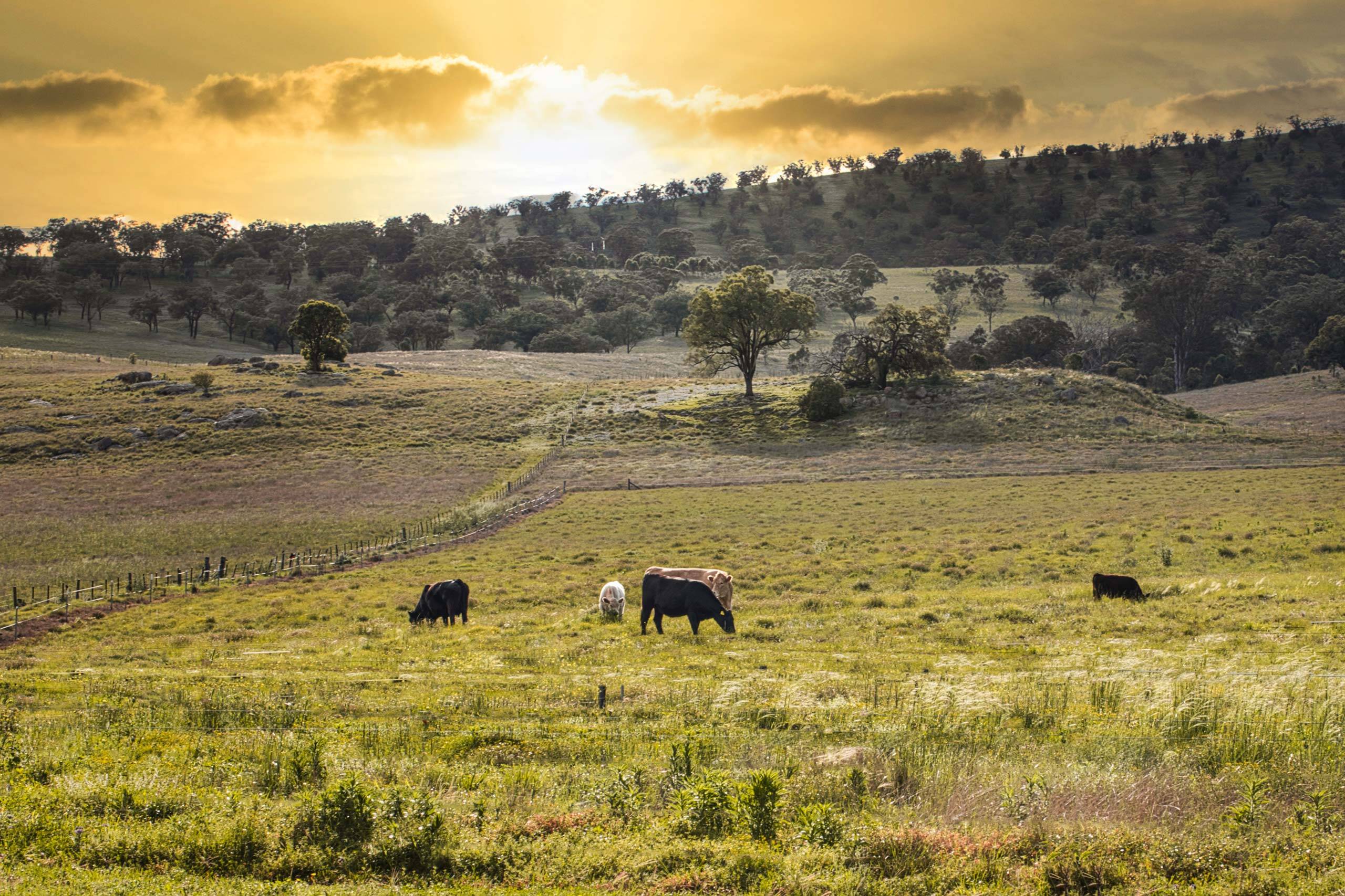 Strathearn Park Lodge Private Gardens