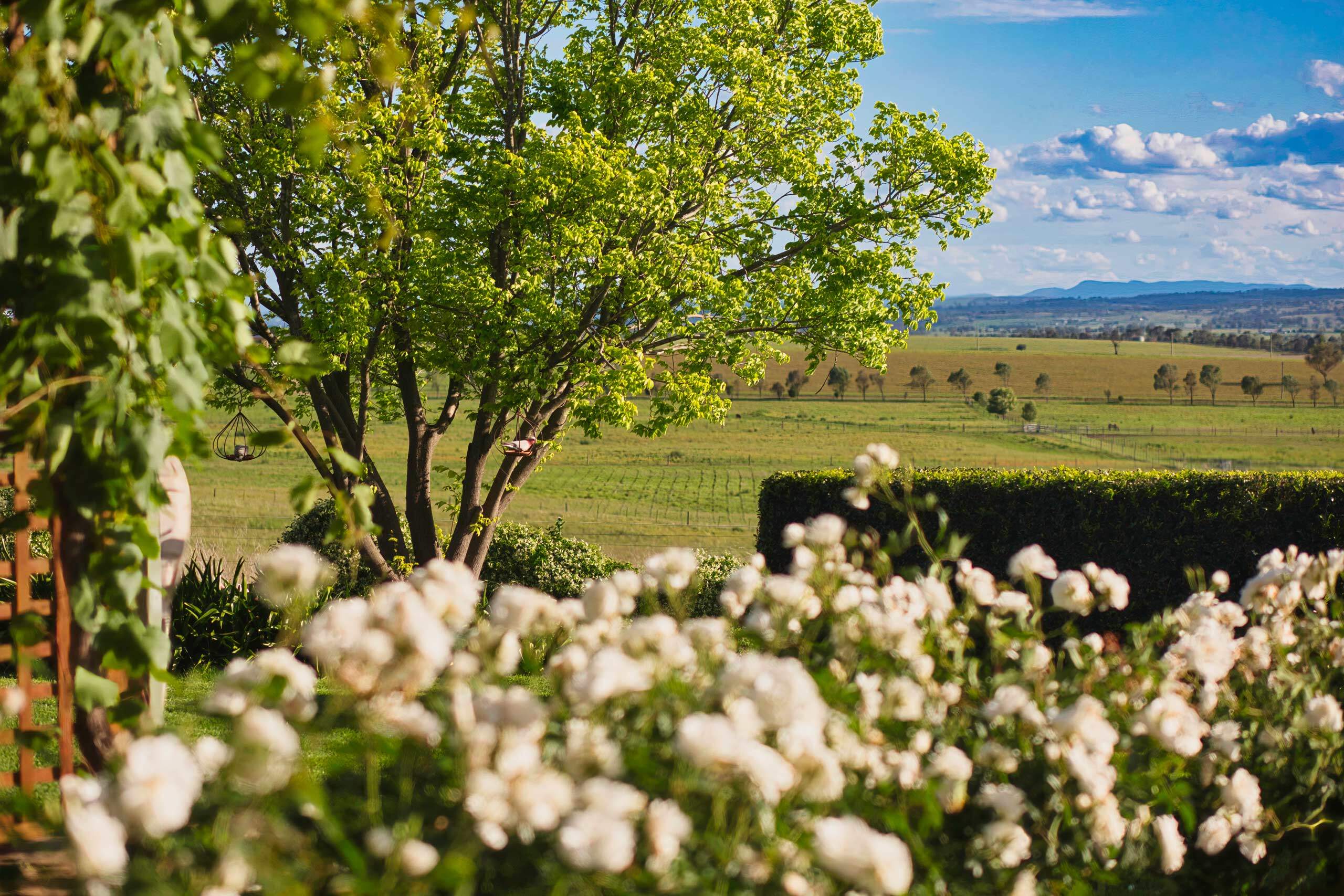 Strathearn Park Lodge Private Gardens